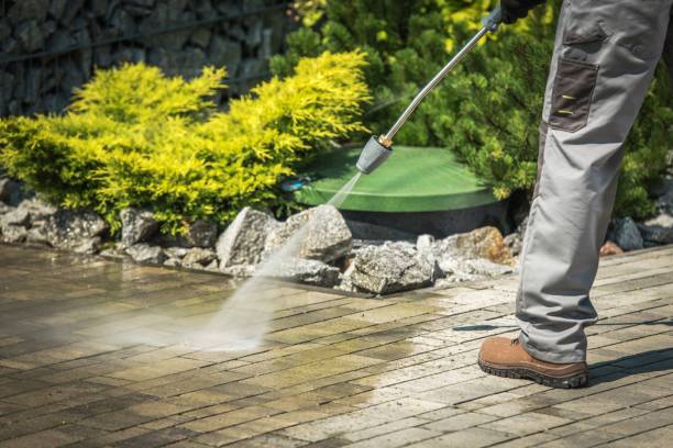 Best Dumpster Area Cleaning  in Waverly, IA