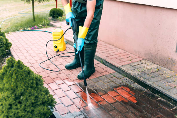 Best Fence Cleaning  in Waverly, IA