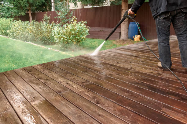 Best Pre-Holiday Cleaning  in Waverly, IA